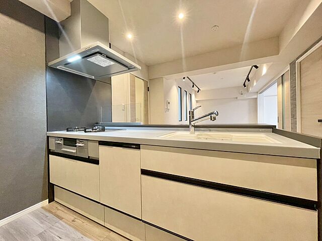 キッチン ライオンズマンション川崎貝塚 6階/-