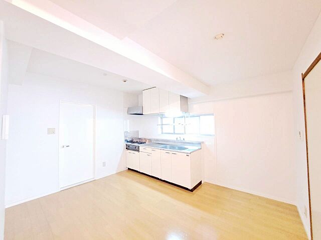 室内 グランドコート川崎 2階/-