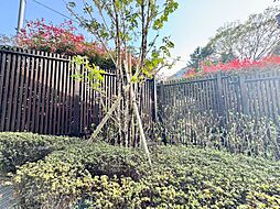 眺望や窓からの景色が良いと、家で過ごす時間も快適です。