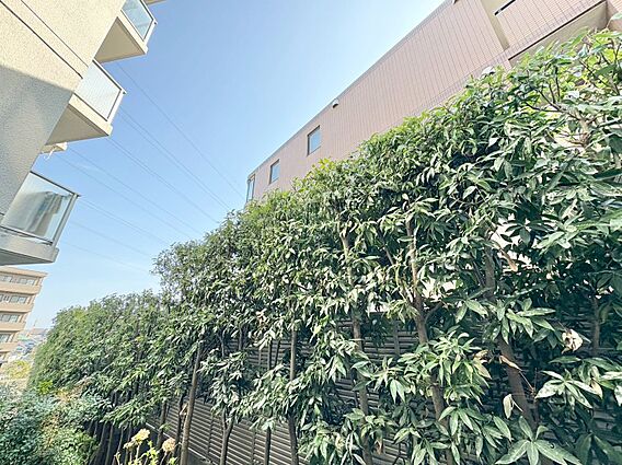 陽当たり・通風...