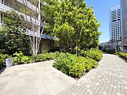 マンションの敷地内には、中庭もございます。