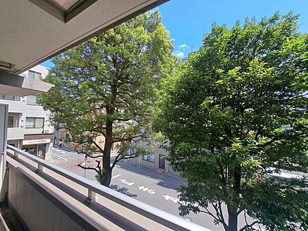 眺望や窓からの景色が良いと、家で過ごす時間も快適です。