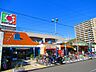 周辺：【スーパー】 デイリーカナート住之江店まで809ｍ