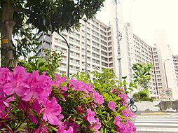 物件画像 南砂住宅2号棟