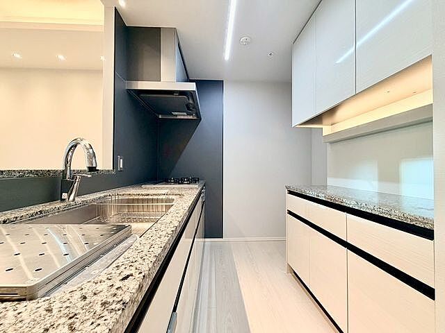 キッチン CAPITAL GATE PLACE THE RESIDENCE 10階/-