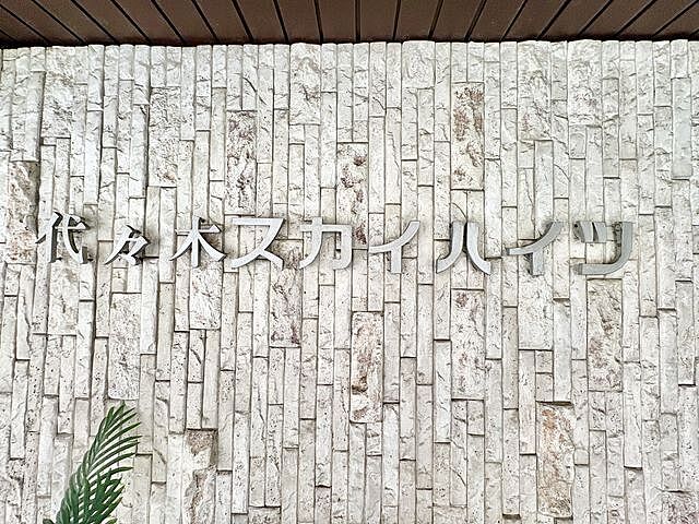 エントランス 代々木スカイハイツ 3階/3F