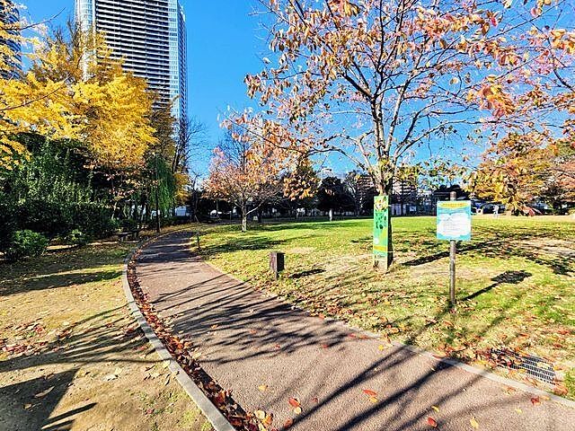 周辺 晴海アイランドトリトンスクエアビュータワー 27階/-