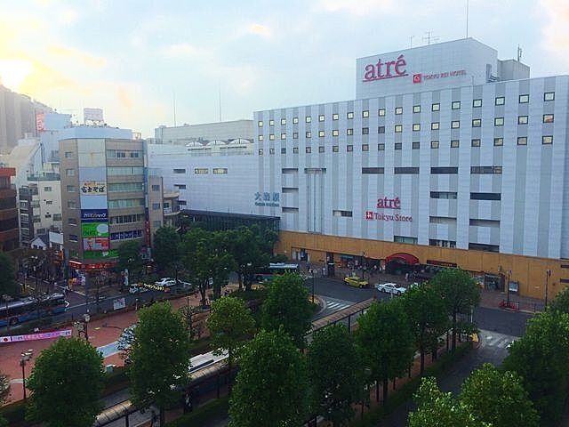 周辺 山王スカイマンション 5階/-