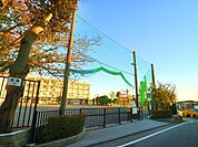 横浜市立篠原小学校 500m