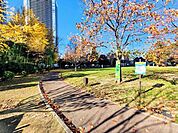 中央区立黎明橋公園 850m