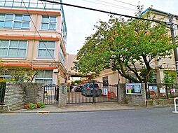 世田谷区立山崎小学校 750m