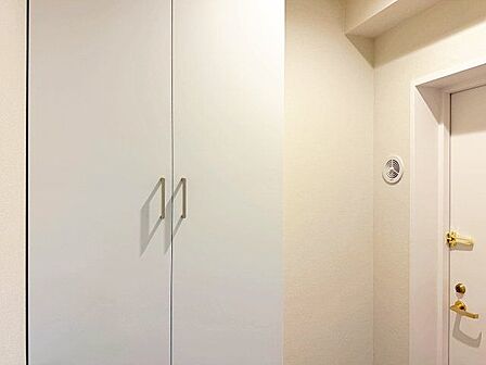 明るい玄関。頼もしいトールサイズのシューズボックスが備わっています。