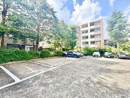 敷地内駐車場