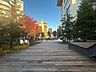周辺：原宿一丁目公園 500m