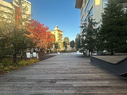 原宿一丁目公園 500m