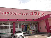 ドラックストア