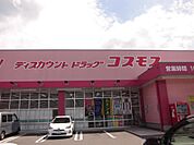 ドラックストア