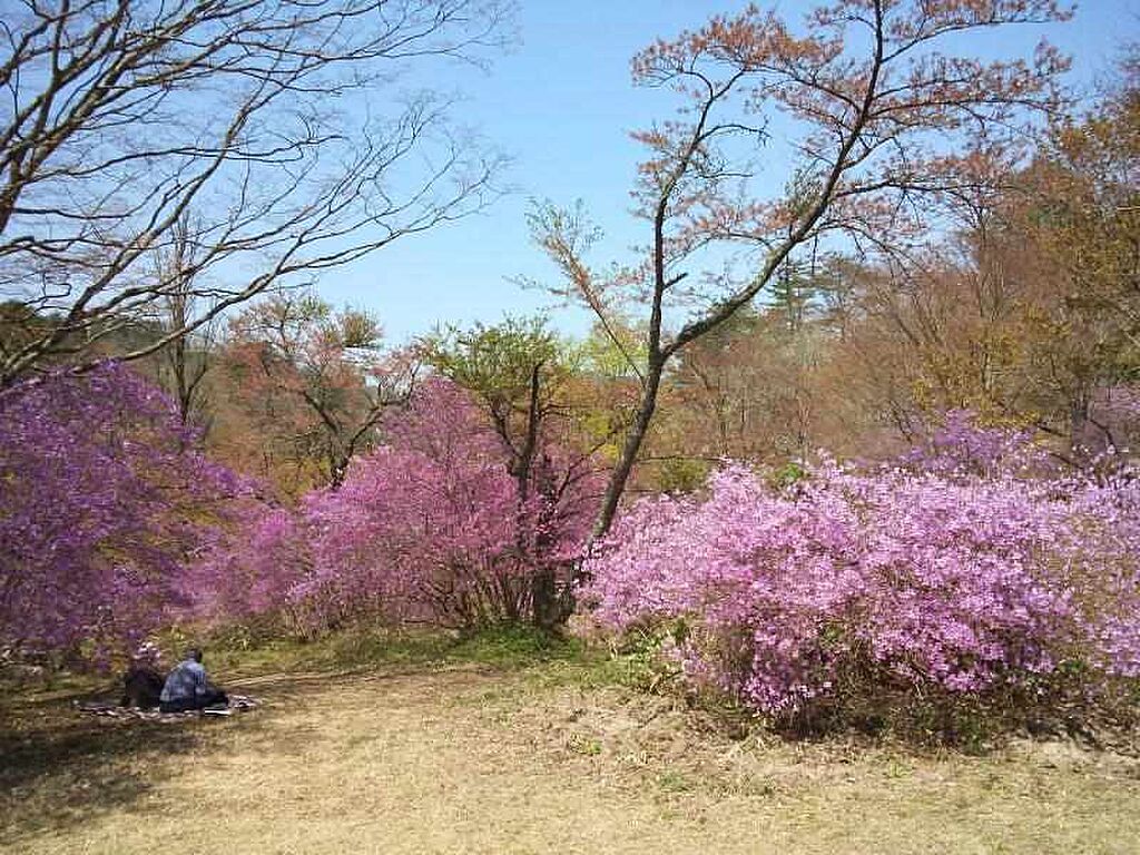 detached 鳥取県日野郡日野町黒坂