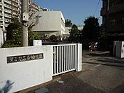 聖ミカエル幼稚園 300m