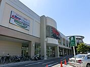 モラージュ柏 1100m