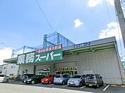 業務スーパー 610m