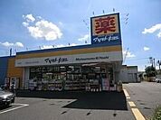 マツモトキヨシ八柱店 1000m