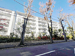 物件画像 宮前平グリーンハイツ36号棟