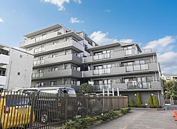 物件画像 ソフィア綱島