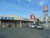 ウエルシア坂戸南町店 820m