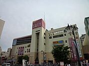 イオン新座店 500m