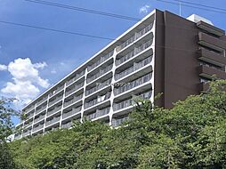 物件画像 草加松原ハイツ　A棟