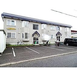 コニファーコート