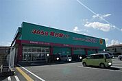 コスモス柏の森店 814m
