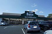 Seria(セリア) 穂波店 925m