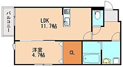 セレーナ飯塚III 1LDKの間取図画像