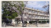 越谷市立大沢北小学校（413m）