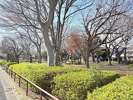 諏訪木西公園 自然豊かな諏訪木西公園(400m)