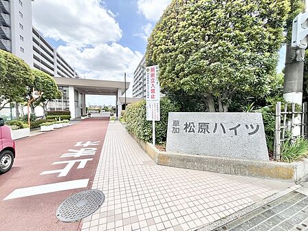 東武スカイツリーライン獨協大学前駅から徒歩15分の利便性です。