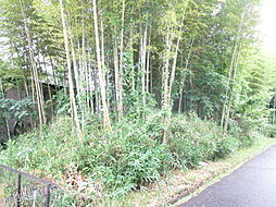 物件画像 伊賀市猪田の竹林　約41坪