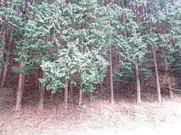 物件画像 三重県伊賀市伊勢路　山林