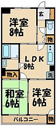 YMパレス 3LDKの間取図画像