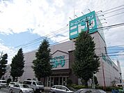 ニトリ 70m