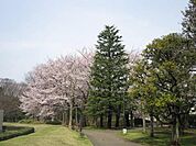 深大寺植物公園 750m