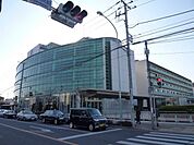 杏林大学病院 100m