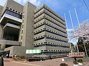 武蔵野市役所 1000m