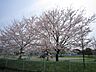 周辺：神代植物公園 1000m