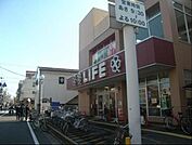 ライフ東向島店 738m