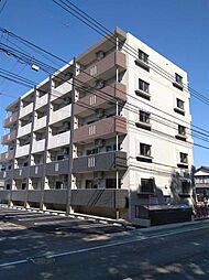 ファヴィオ博物館前 501