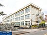 周辺：羽村市立栄小学校 1040m