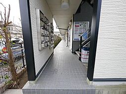 15 / 33
